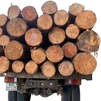 Pine wood logs preço baixo do viet namorado fazer madeira