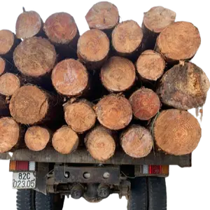 Bâtons en bois de pin naturel, bas prix du vietnam, fabrication du bois