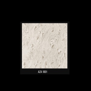 Machine à polir les carreaux et marbre Carrelage de sol en porcelaine 600x600mm - Product Image 4