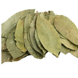 Feuilles de corossol séchées de qualité supérieure - Helen TP +84 374 288 086 - Product Image 1