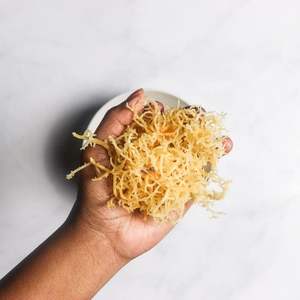 High Quality Sea Moss/ <b>Irish</b> Sea Moss for Making Sea Moss Gel /Serena - Product Image 5