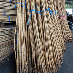 Matériau de canne en rotin brut naturel de haute qualité 18/23mm 24/29mm 30mm 3M 4M pour serres agricoles à couche unique vert - Product Image 4