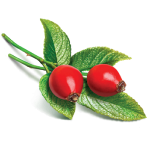 Aceite de Semillas de Rosa Mosqueta Orgánico Prensado en Frío, Certificado GMP de Francia, Similar a Aceite de Coco, Argán y Aguacate, Líquido Portador para el Cabello, Venta al Por Mayor - Product Image 2