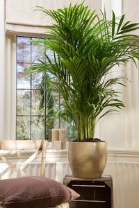 Hot Selling Iqbal Collection Galvanized Gold Plated Shape Eco-Friendly Durable Indoor Outdoor <b>Flower</b> Pot Planter for Decoration - Product Image 3