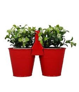 เครื่องปลูกโลหะสีสันสดใสสำหรับตกแต่งบ้านและสำนักงานในราคาต่ำสุด - Product Image 1