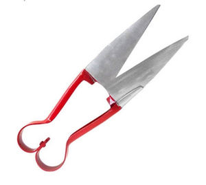 Tondeuse de haute qualité pour animaux, autres instruments vétérinaires, ciseaux pour le toilettage des chats, outils d'entretien des animaux par UAMED IND - Product Image 6