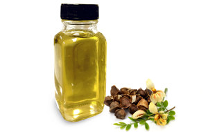 High Quality Cold Pressed <b>Moringa</b> Carrier Oil Liquid Formed from <b>Seeds</b> - Product Image 5