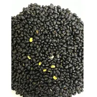ויאטנם Orsafarm ירוק שעועית-קטן 5 kg/pack 2021 פרימיום באיכות מזון ירוק אורגני קטן שחור שעועית