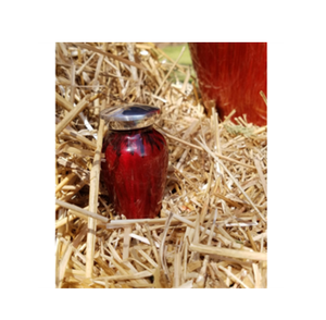 Vente chaude de haute qualité prêt à expédier des souvenirs de crémation en aluminium pour les restes humains fabricant direct urne souvenir - Product Image 6