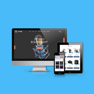 Professional North America Music ECommerce <b>Software</b> Application-Top-notch Webroot Infosoft - Product Image 4