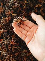 Hoge Kwaliteit 100% Vietnamese Lente Herfst Steranijs Rauw Gedroogd ISO 22000:2018 Gecertificeerd Agrikim Merk Gratis Monster
