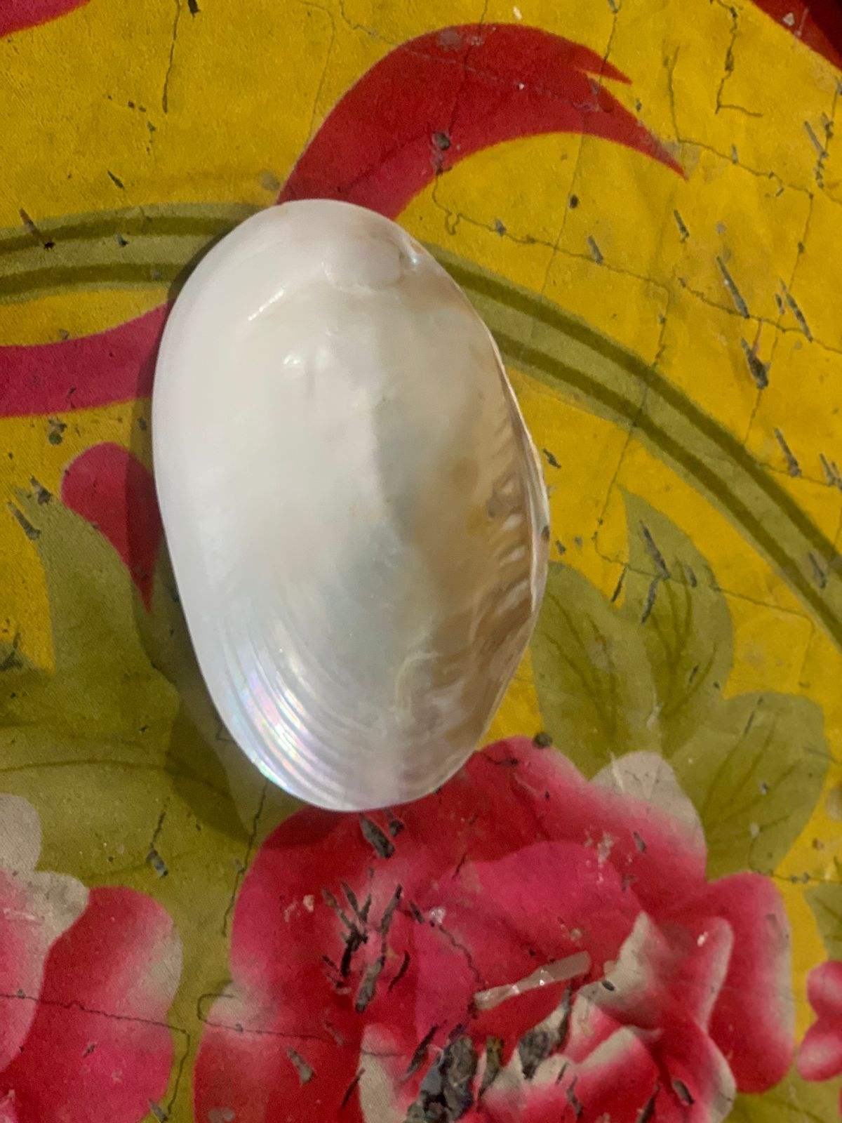 ธรรมชาติ