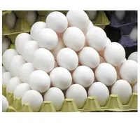卸売新鮮なテーブルの卵、白と茶色