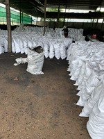 Charbon de bois vert Greenfirecoal de qualité supérieure en gros, briquettes de charbon de bois noir 100% bois dur, 2% de cendres, 4-10cm, 7200J, pour barbecue (BBQ) et bâtonnets de café