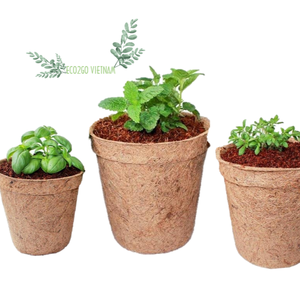 Tasses en fibre de coco naturelle et biodégradable/Pots de fleurs de semis de graines de coco de noix de coco d'Eco2go Vietnam - Product Image 1