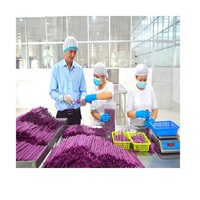 HOT VIETNAMIEN 2024!!! Nouveau matériau pailles comestibles riz biodégradable Tapioca paille