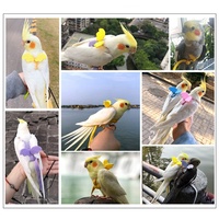 Harnais de perroquet cru pour oiseaux, entraînement facile, laisse en boucle de tête