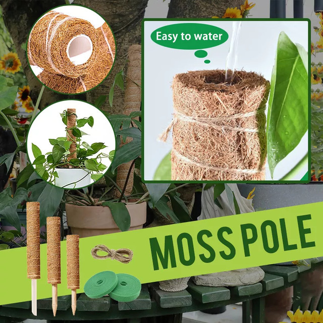 100% Natural Coconut Coir Poles Eco-Friendly Biodegradable 20-120cm Height for Climbing Plants Tree Protection