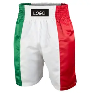 OEM pantaloncini da combattimento di boxe personalizzati Yasin indossa abbigliamento sportivo tricolore italiano da boxe corto OEM ricamato al piombo XL