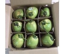 Coco Fresco de Primera Calidad BenTre Canadá, Semidescascarado, 25 Nueces, Buen Precio - Product Image 4