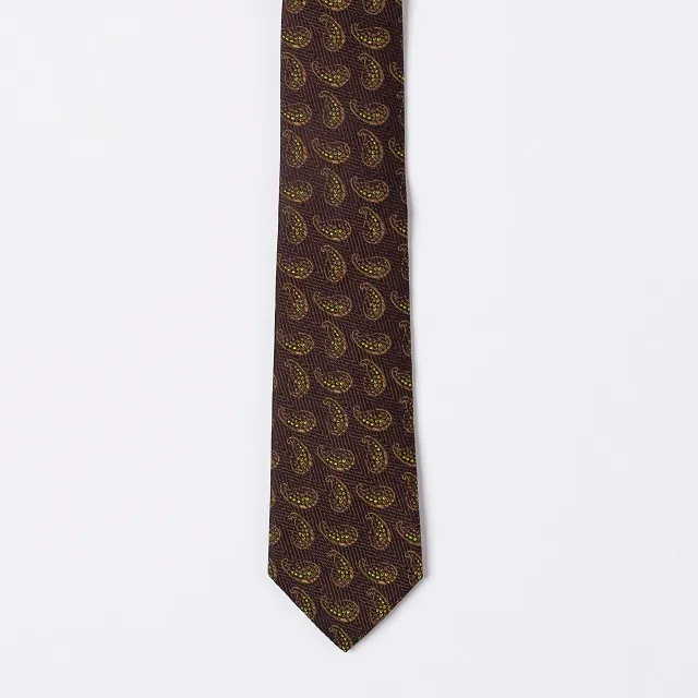 Sartorial Tie with brown cashmere patterns 4 pcs pack