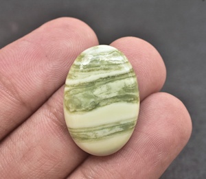 ปะการัง Cabochon AAA + Fosil หินปะการังสำหรับเครื่องประดับทุกประเภทรูปร่างผสมสำหรับการออกแบบเครื่องประดับราคาขายส่ง - Product Image 4