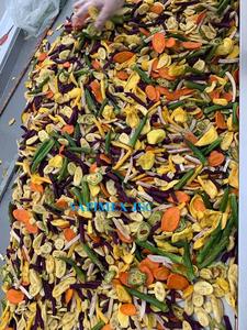 Bac à légumes et fruits séchés de haute qualité, origine du VIETNAM, 2022 de fruits et légumes, 8 à 10 parfums - Product Image 4