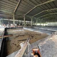 Cardanol brut de qualité supérieure du Vietnam / Liquide de coque de noix de cajou, produit en gros, prêt à être expédié