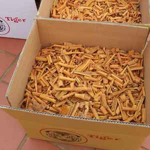 Ballon Casia cassé de haute qualité, origine Vietnam, 2022 - Product Image 4