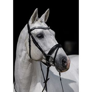 Meilleure qualité western équestre équitation cuir mors bride nez bande Durable courbe Bling sourcil bande Logo en relief - Product Image 1