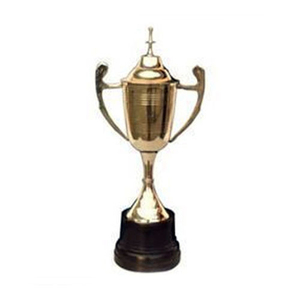 Latón Metal trofeos de Cricket taza - Product Image 1
