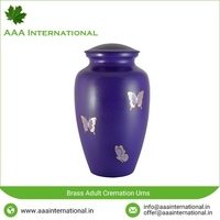 Ataúd de Metal para funerales, ataúd de acero Ga, fábrica de inteligencia China, ANA, ceremonia, estilo americano, blanco, 18, color rosa, a la venta