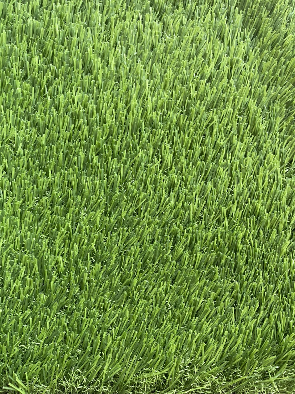 Vert