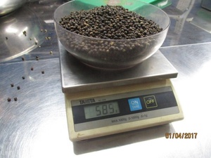 Pimienta negra nativa de VIETNAM/Poivre Noir Grain 500G/L 550G/L 570G/L FAQ/LIMPIADO HANFIMEX Ms Kathryn 0084327324400 - Product Image 5