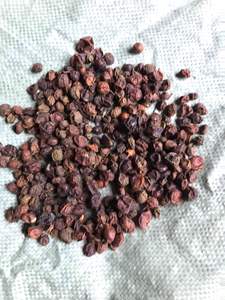 ราคาของผลไม้แห้งเวียดนาม คลอเซน่า ลันซิอุม - กอรากอตตา คาริเวปิลี - Product Image 5