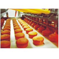 Chaîne de production de mini-crêpes entièrement automatique, contrôlée par PLC, capacité 80-500 kg/h, alimentation gaz naturel/électrique/diesel, avec mélangeur de pâte pour la cuisson