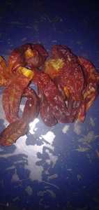 Pimentón seco Tipo de procesamiento crudo - Product Image 6