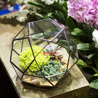 Dôme de verre artistique moderne fait à la main, dispositif en verre créatif, Terrarium triangle pentagone mélange à 32 côtés, support de plantes aérienne succulentes d'intérieur