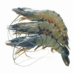 Negro congelado camarones tigre de alta calidad para la venta en todo el mundo - Product Image 1