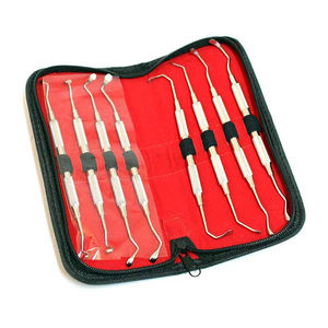 2026 LA ELAHI Kit d'instruments dentaires pour sinus lift et implantation, 10 pièces, instruments à double extrémité - Product Image 4