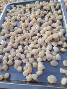 Sò Điệp Khô Không Vỏ Với Hương Vị Ngon Cho Nấu Ăn Từ Việt Nam - Product Image 2