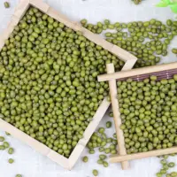輸出用の最高品質の緑豆/緑グラム/ムーンダル/ブナ豆