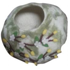 สีเขียวอ่อน