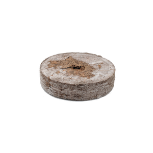 Pastilles de mousse de noix de coco et de menthe biodégradables, 100% écologiques, prix de gros, bon marché, haute qualité - Product Image 2