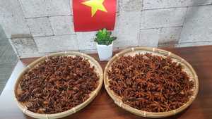 ดาวอินเดียแห้ง ฤดูใบไม้ร่วง/ฤดูใบไม้ผลิ จากเวียดนาม คุณภาพพรีเมียม ราคาดีที่สุด / วอทส์แอพ +84 35 931 3086 - Product Image 6