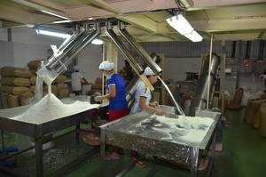 Premium Desiccated Coconut Vietnam High Fat 60% 65% Fine Medium Grade Dried Coconut Factory Direct Bulk Export Wholesale - Product Image 2