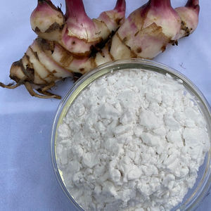 Almidón de arrowroot de la mejor calidad, harina en polvo blanco, tipo nativo de Vietnam. - Product Image 1