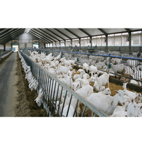 Abri préfabriqué pour l'élevage des moutons et des chèvres