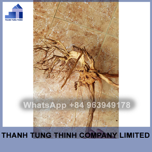 ไม้กฤษณาธรรมชาติสำหรับตู้ปลา,อุปกรณ์ตกแต่งตู้ปลา - Product Image 3