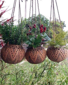 Maceta colgante de concha de coco de Vietnam - Product Image 2